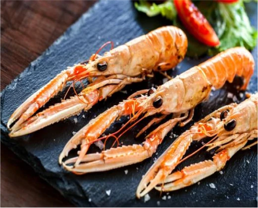 Duboullay Voyages Entreprise De Transport A Orgeres La Langoustine
