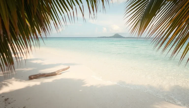 Playa Samara Costa Rica : le guide complet des plages, du surf et des activités incontournables