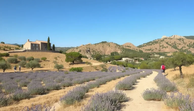 Tourisme vert de Provence : le guide complet pour un séjour durable entre Alpilles, Verdon et Provence Verte
